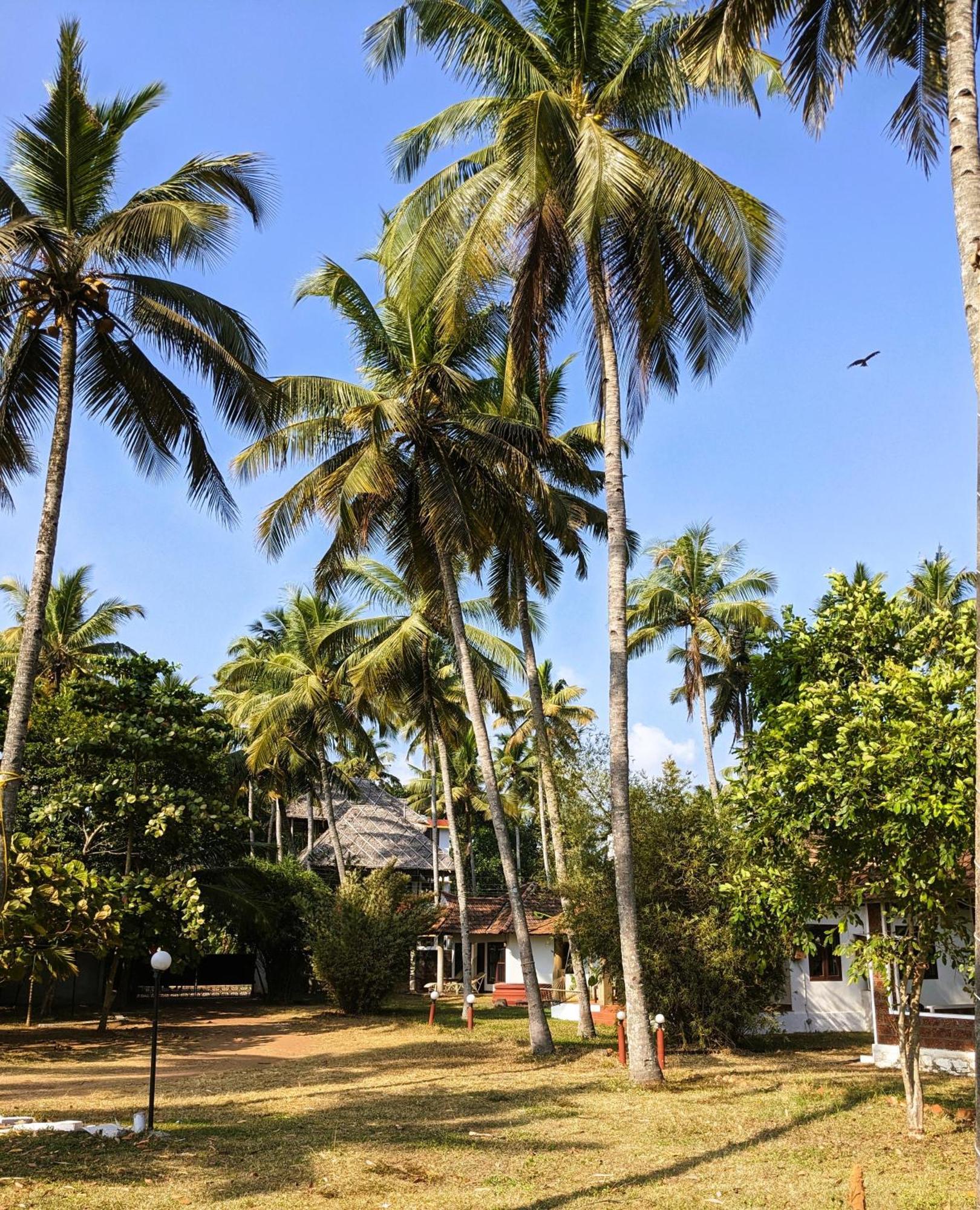 Baycliff Cottages Varkala Esterno foto